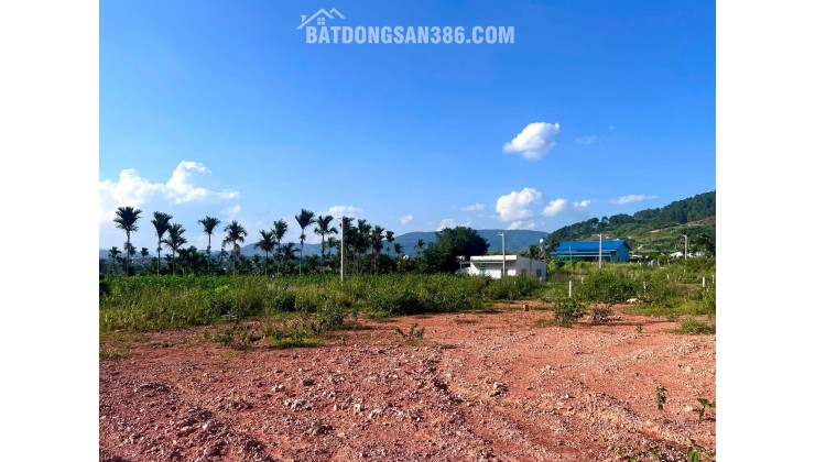 Cần Bán Đất 309m² Có 209m² Thổ Cư, 2 Mặt Tiền Giữa Thung Lũng Thông Xanh